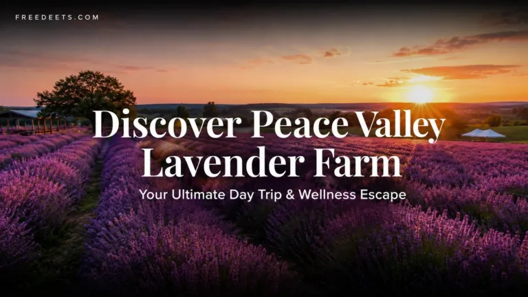 Finding Calm in Bucks County: Why Peace Valley Lavender Farm is the Ultimate East Coast Escape